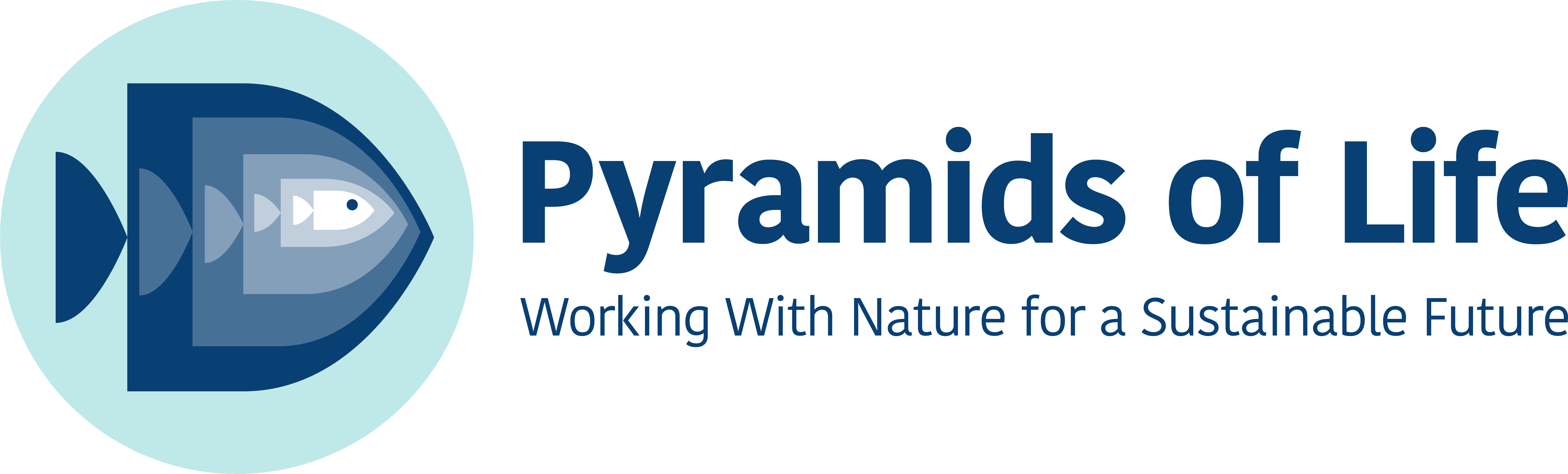 Pyramids of Life
