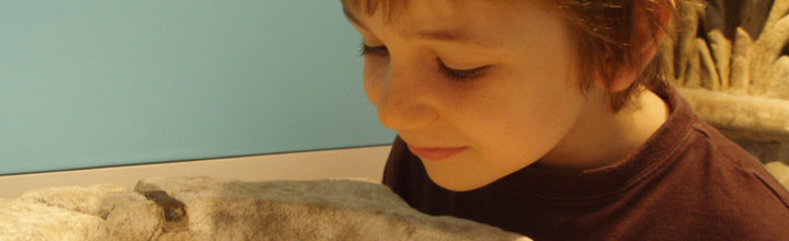 Child looking at museum exhibits