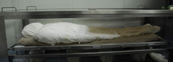 The mummification of Alan