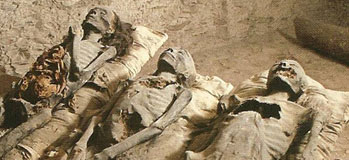 KV35: Three Mummies